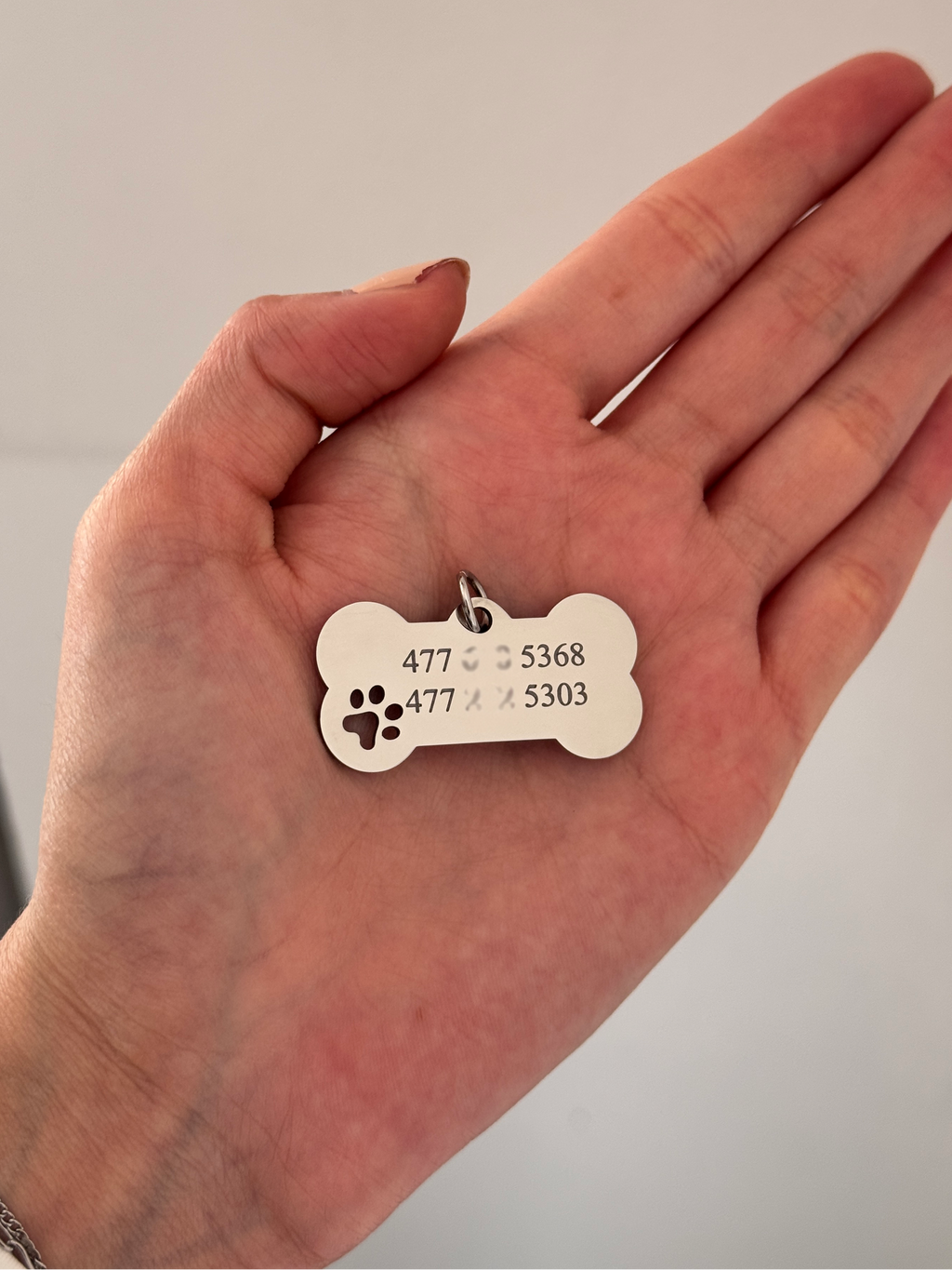 placa MASCOTA con huella