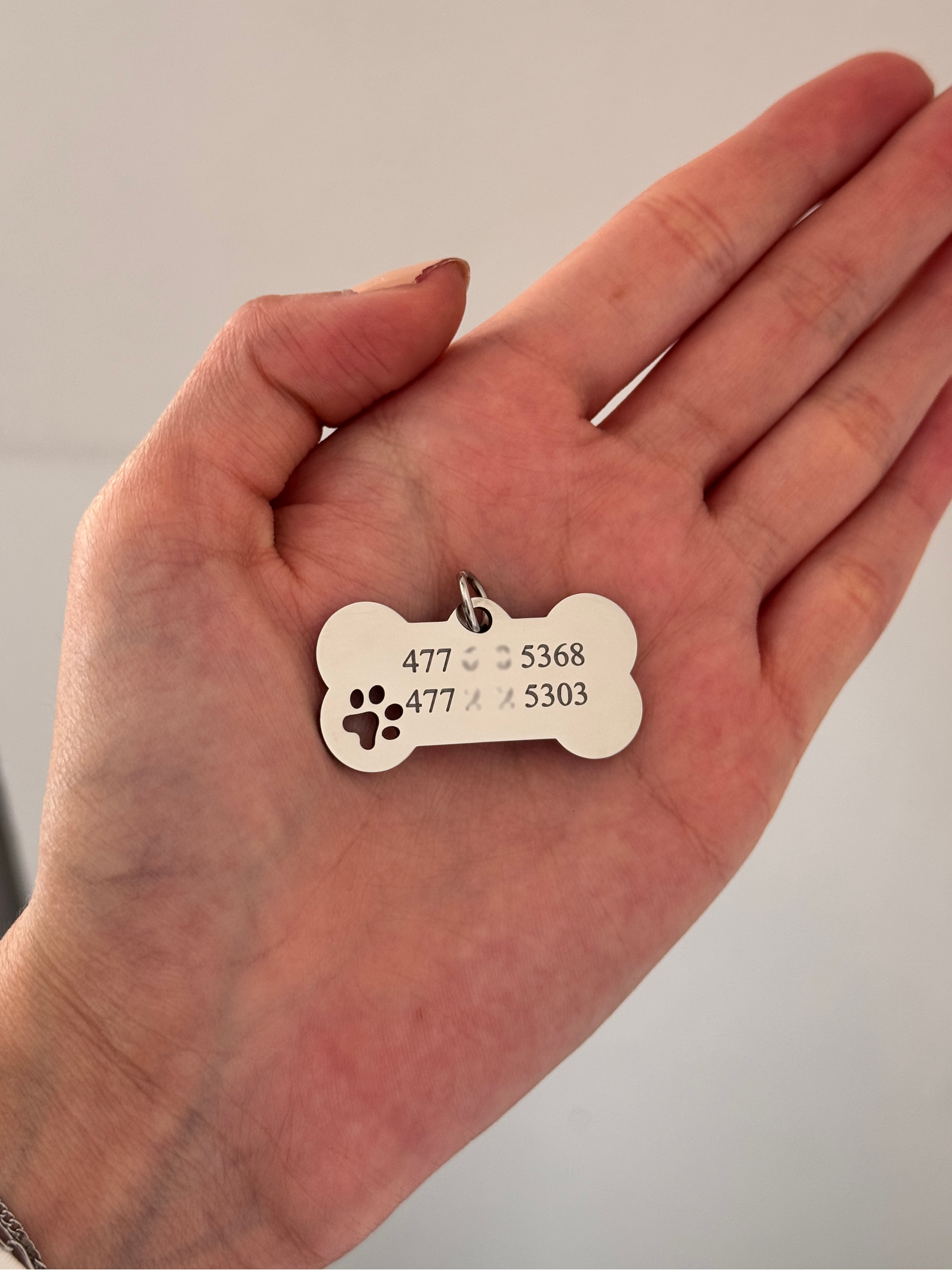 placa MASCOTA con huella